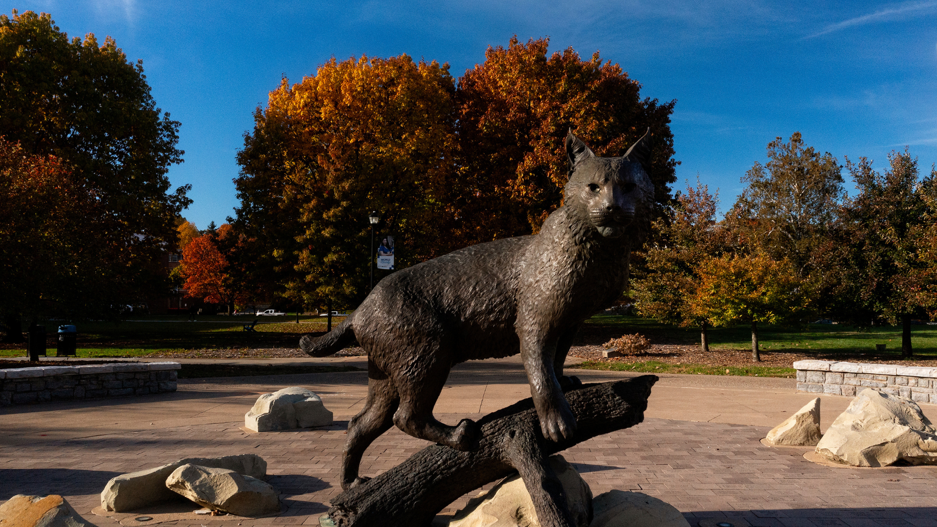 Picture of Bowman (wildcat) statue on campus