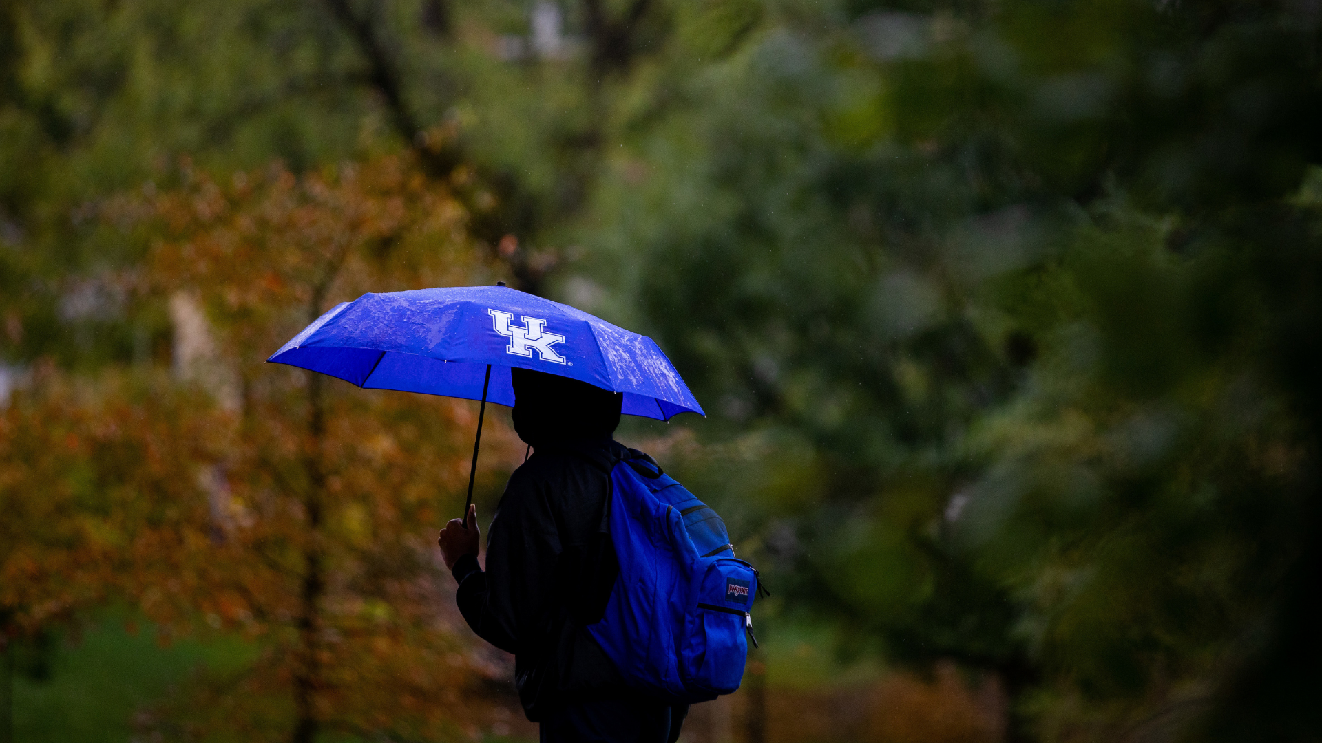 Student walking in front of trees with blue UK umbrella