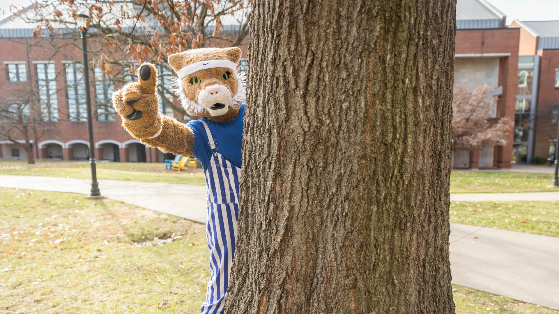 Wildcat mascot holding up #1 from behind a tree