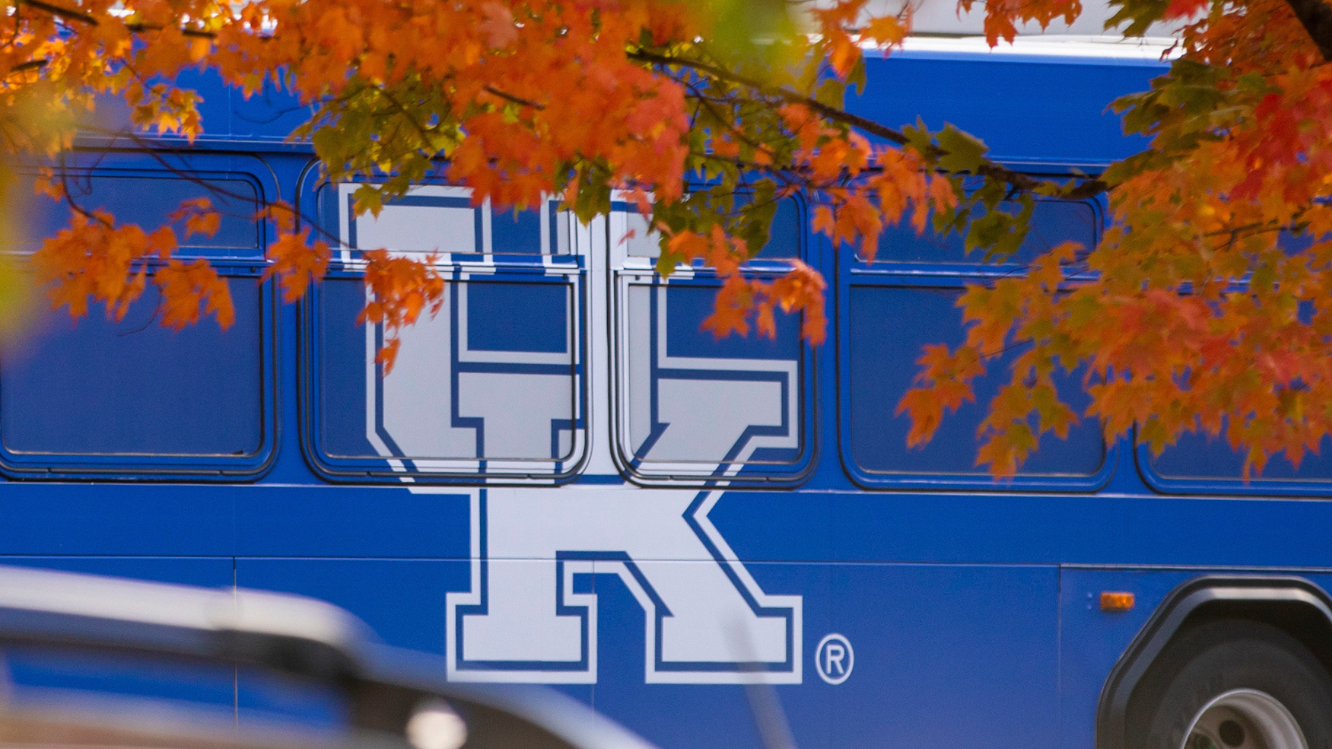 Blue bus with UK logo on side driving with branches and leaves in the foreground
