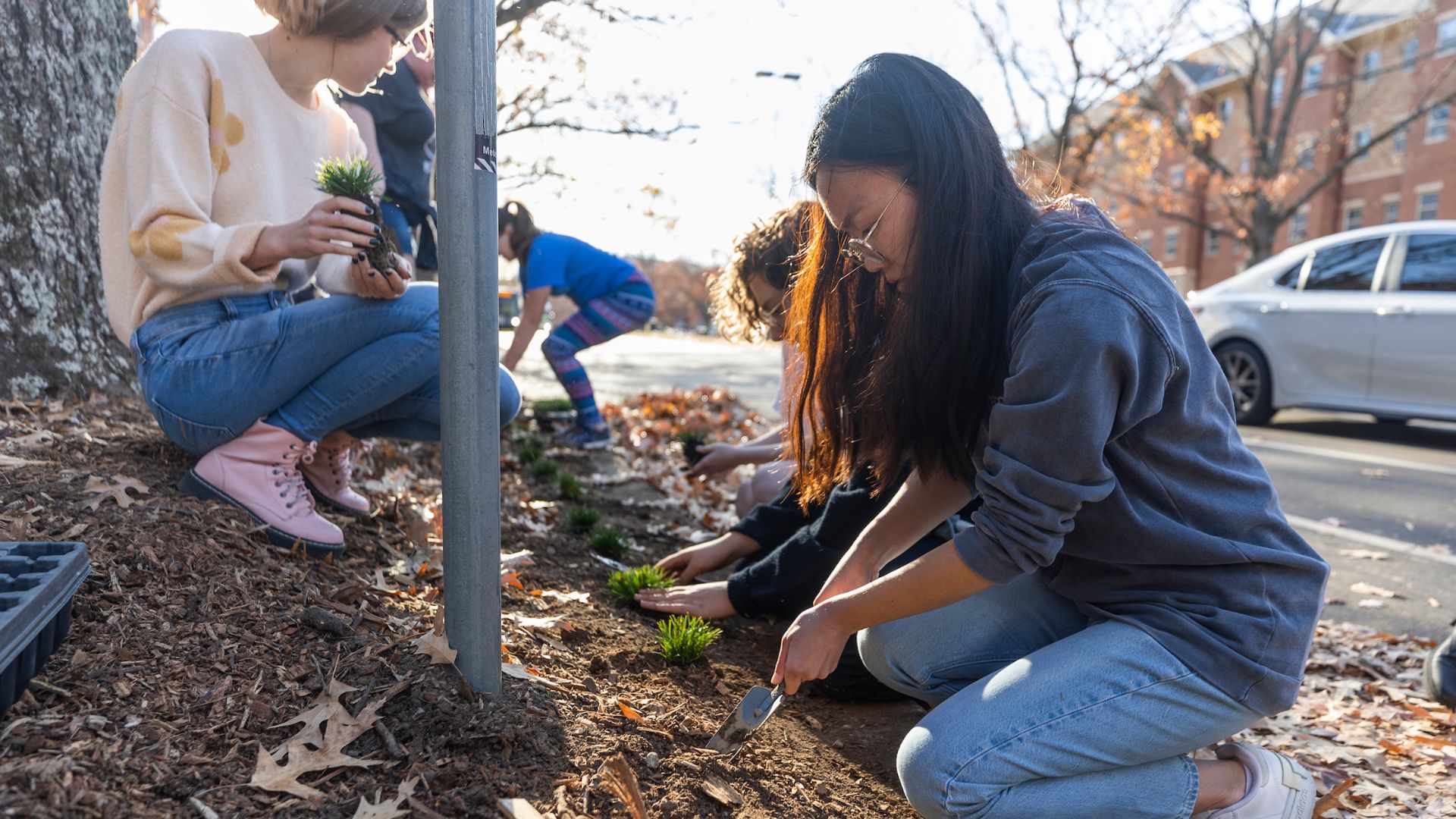 students planting outside