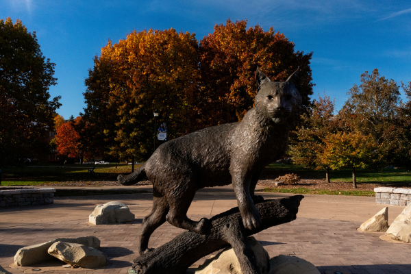 Picture of Bowman (wildcat) statue on campus