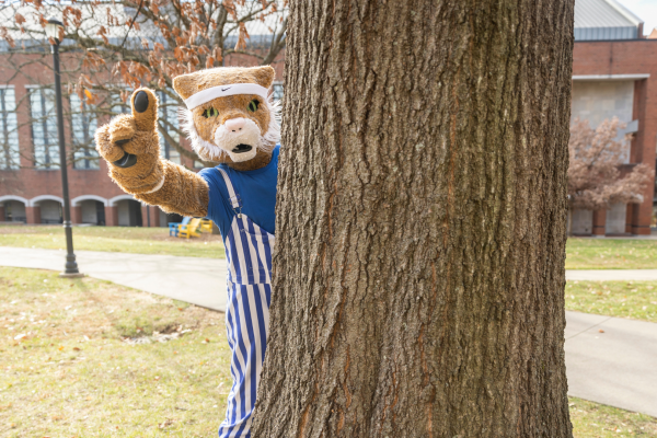 Wildcat mascot holding up #1 from behind a tree