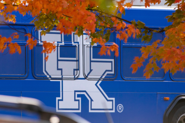 Blue bus with UK logo on side driving with branches and leaves in the foreground