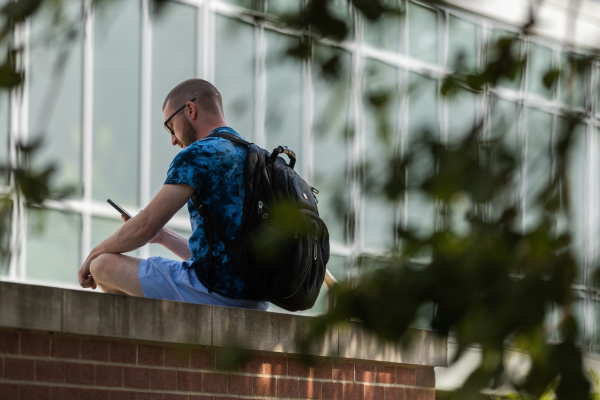 Student sitting on brick wall outside looking at phone