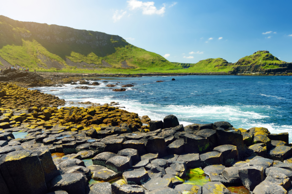 ocean and landscape