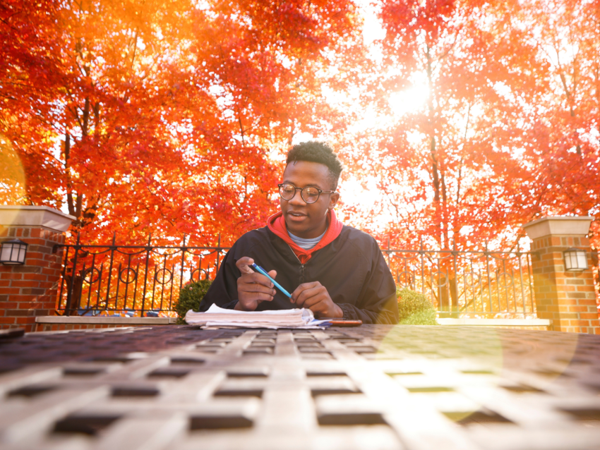 Student studying at table in front of trees