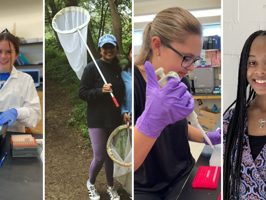 Gretchen Ruschman conducting research in lab, Isha Chauhan holding net outside, Megan Johnston conducting research in lab, headshot of Zora Woolfolk