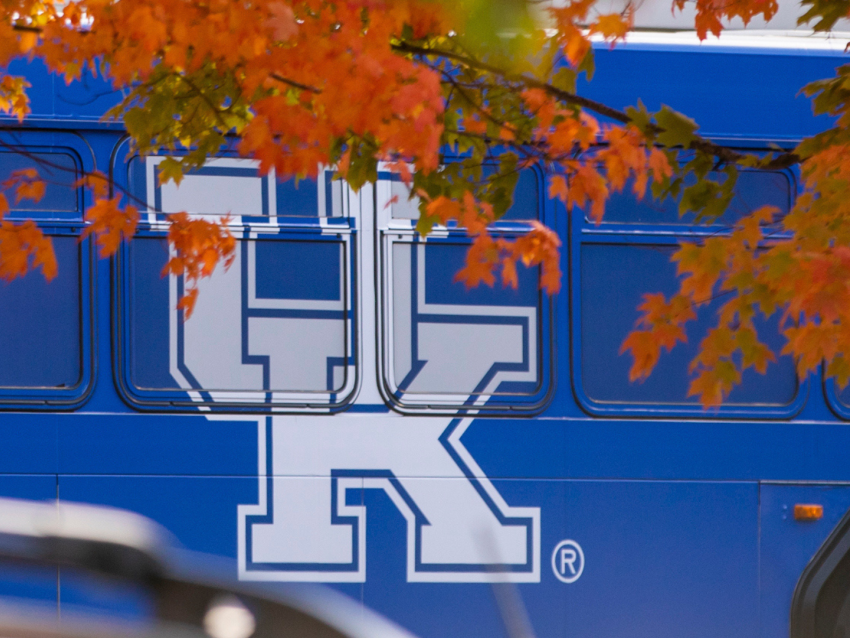 Blue bus with UK logo on side driving with branches and leaves in the foreground