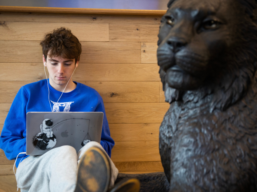 Student working on laptop with wildcat statue in the foreground