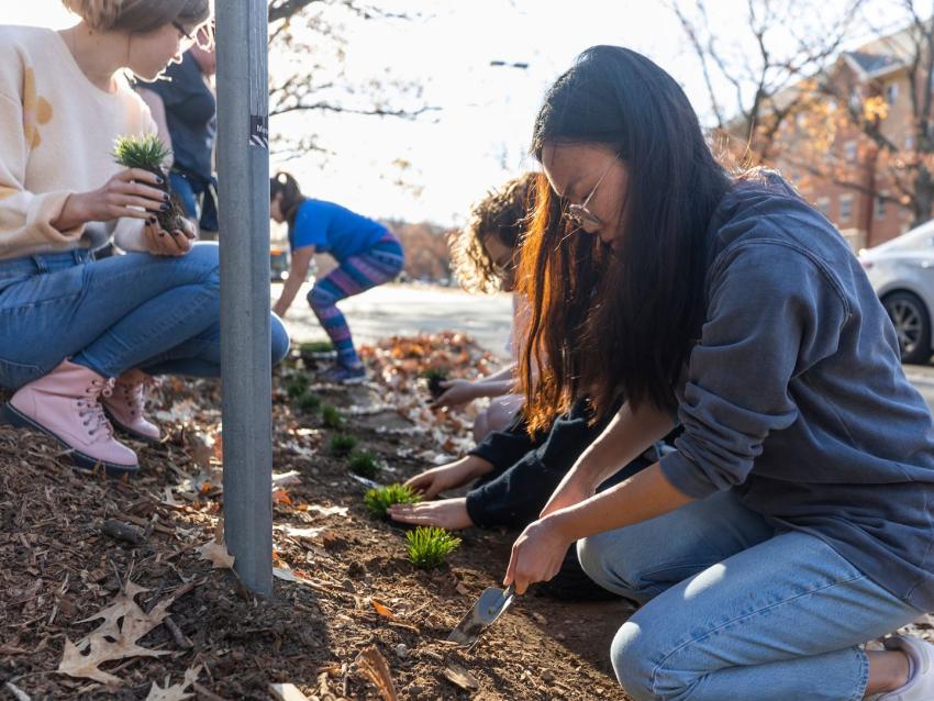 students planting outside