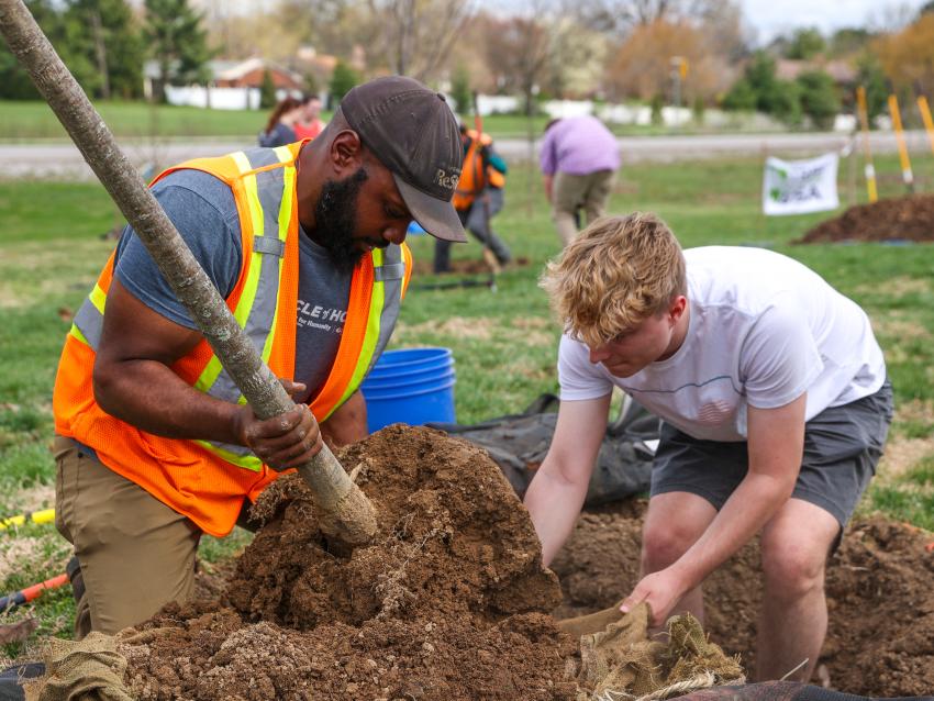 UK Honors class planting trees