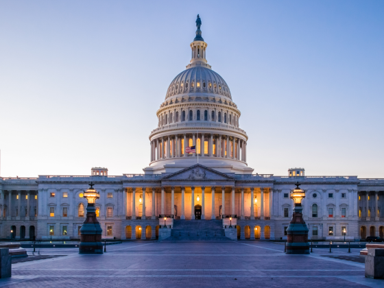 Picture of Capitol building