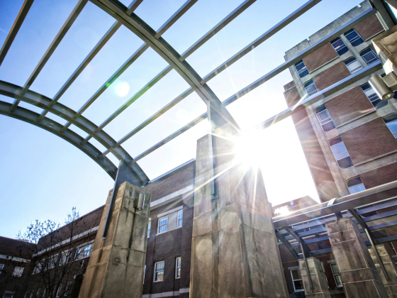 Sun shining through arches in Engineering courtyard