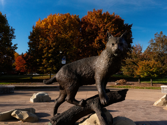 Picture of Bowman (wildcat) statue on campus