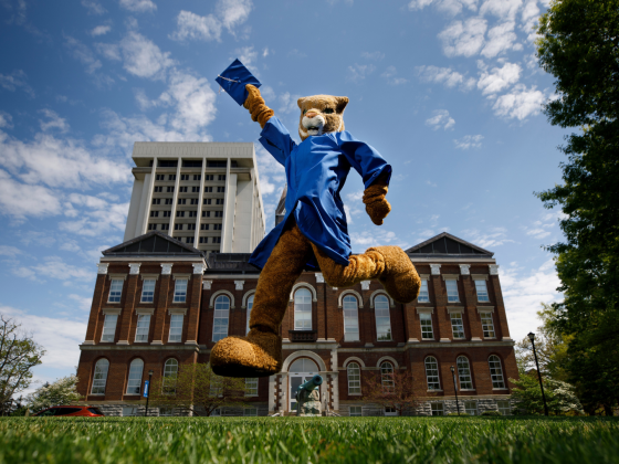 Wildcat in cap and gown jumping in front of Main Building