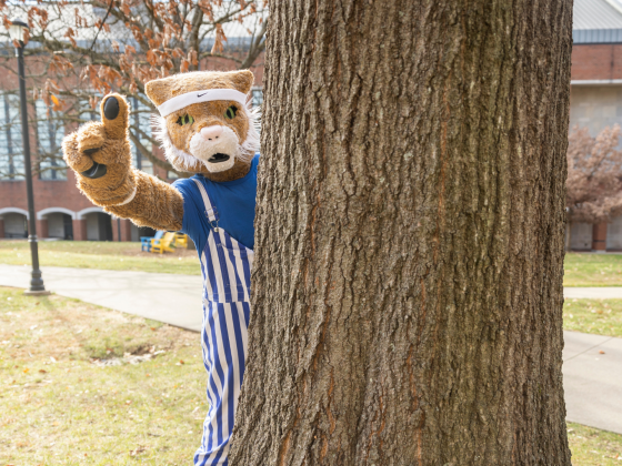 Wildcat mascot holding up #1 from behind a tree