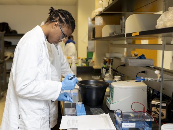 student conducting research in lab